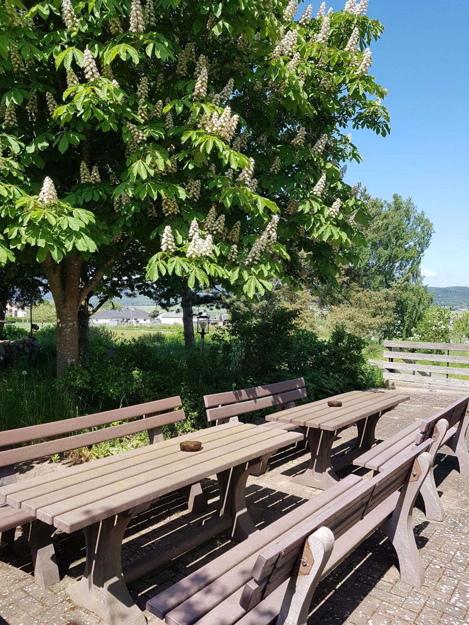 Hotel Wildenburger Hof Kempfeld Eksteriør bilde